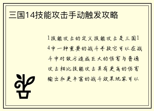 三国14技能攻击手动触发攻略